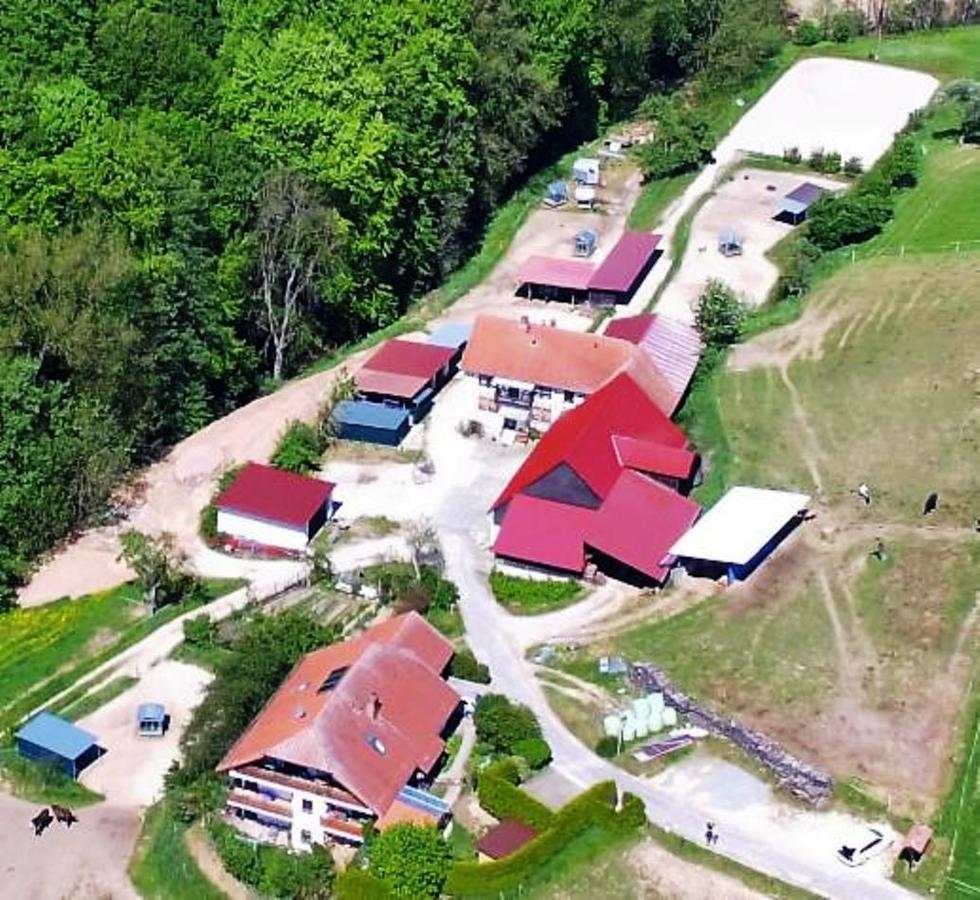 فيلا Pferdehof Und Wanderreitstation Doersam Mörlenbach المظهر الخارجي الصورة